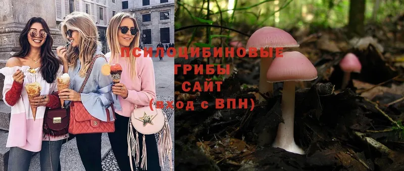 кракен ссылки  Нижняя Тура  Галлюциногенные грибы Magic Shrooms 